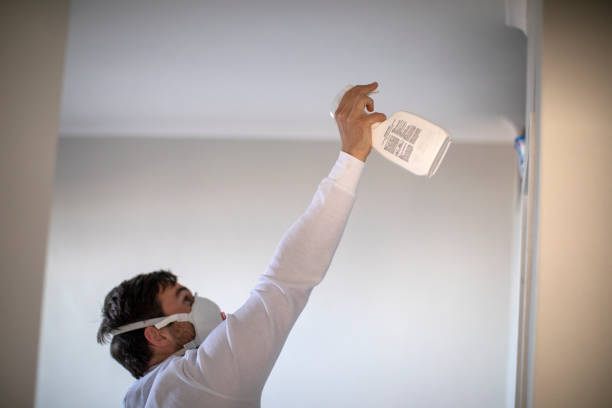 Trusted Trenton, NJ Mold Remediation Experts