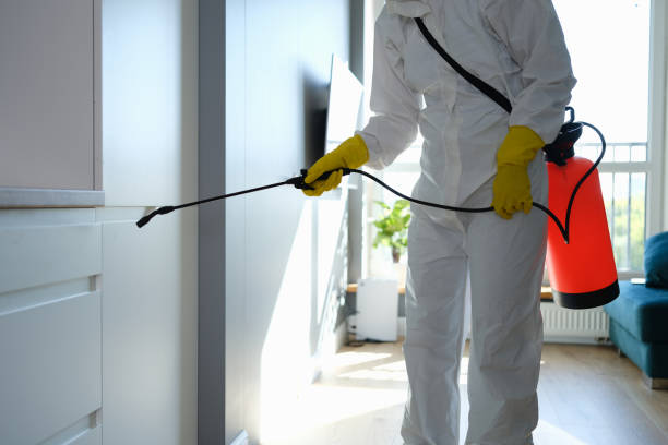  Trenton, NJ Mold Removal Pros